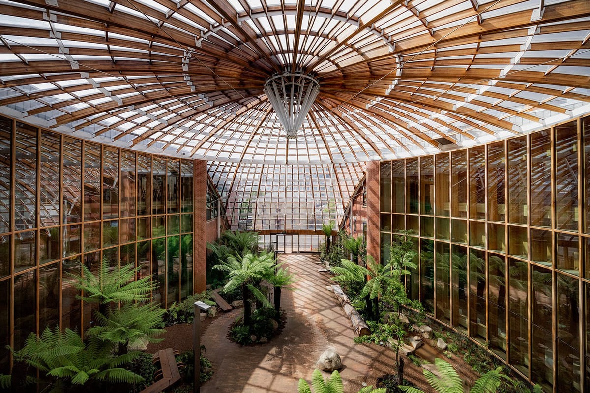 UTAS Forestry glasshouse interior